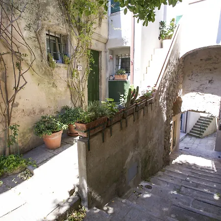Bilo Chiara